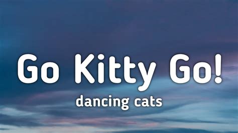 Listen to Go Kitty Go on Spotify. . Dancing cats go kitty go lyrics